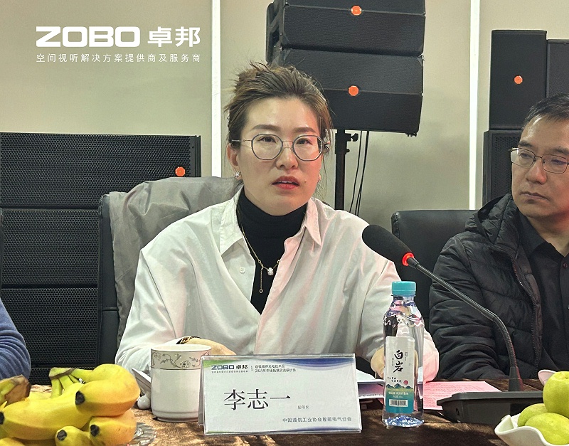 共築智控新生態 | 2025音視頻聲光電技術與市場拓展研討會在ZOBO香蕉视频APP在线观看召開