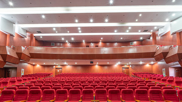 香蕉视频破解音頻擴聲係統整體解決方案