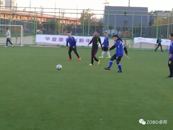 ZOBO香蕉视频APP在线观看