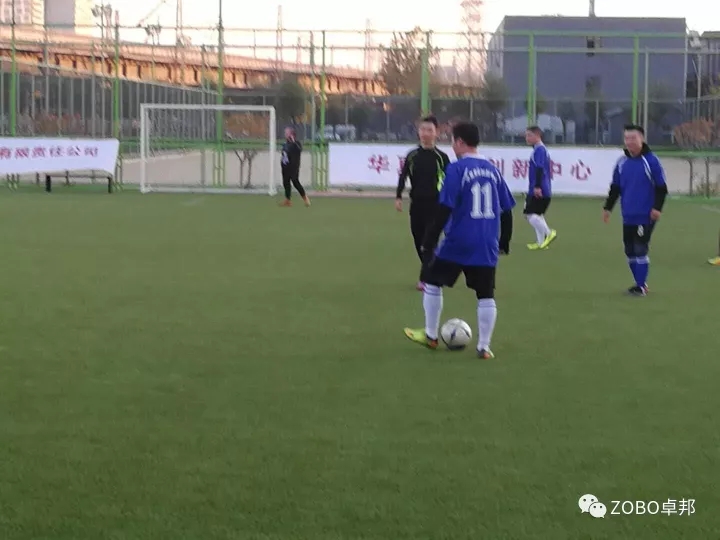 ZOBO香蕉视频APP在线观看