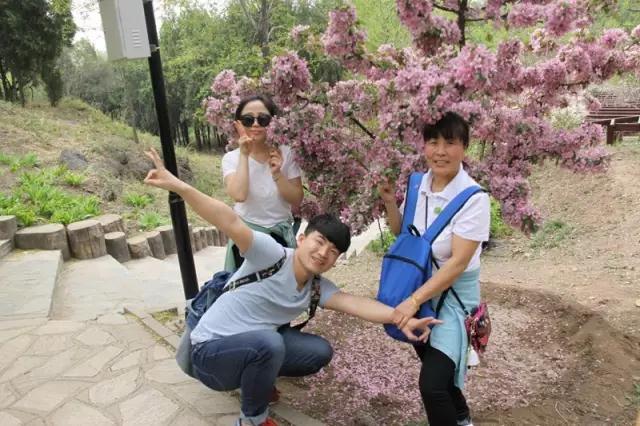 ZOBO香蕉视频APP在线观看