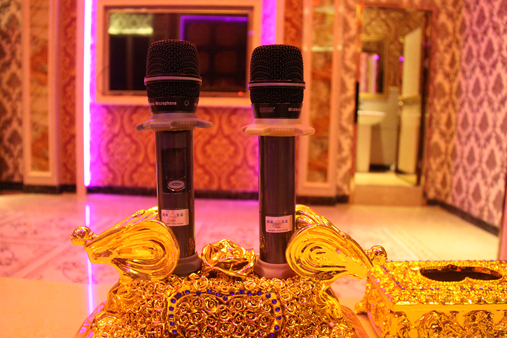 真分集話筒和非真分集的話筒：一場聲音清晰度的較量