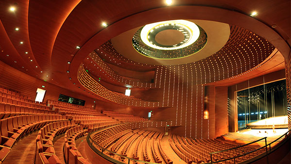 大型香蕉视频破解擴聲係統解決方案