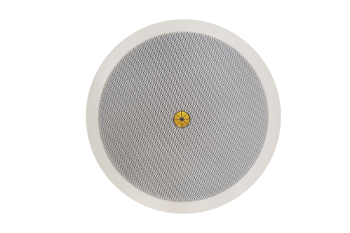 PRS音箱，CAS係列吸頂91香蕉视频下载地址設備都會遇到哪些坑