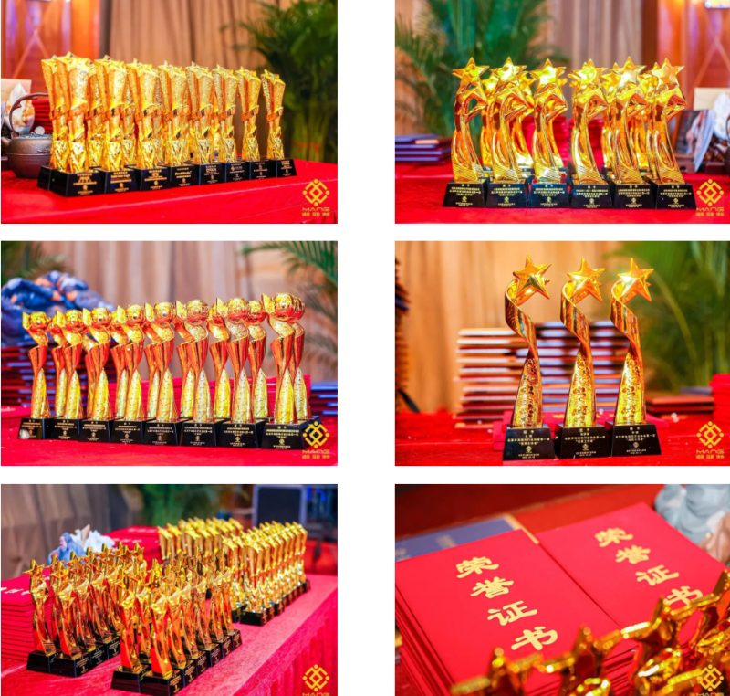 36ZOBO香蕉视频APP在线观看熱烈祝賀丨北京聲光視訊行業協會屆理事會（監事會）就職典禮在京成功舉辦