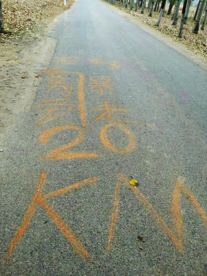 以愛之名，貼地疾行