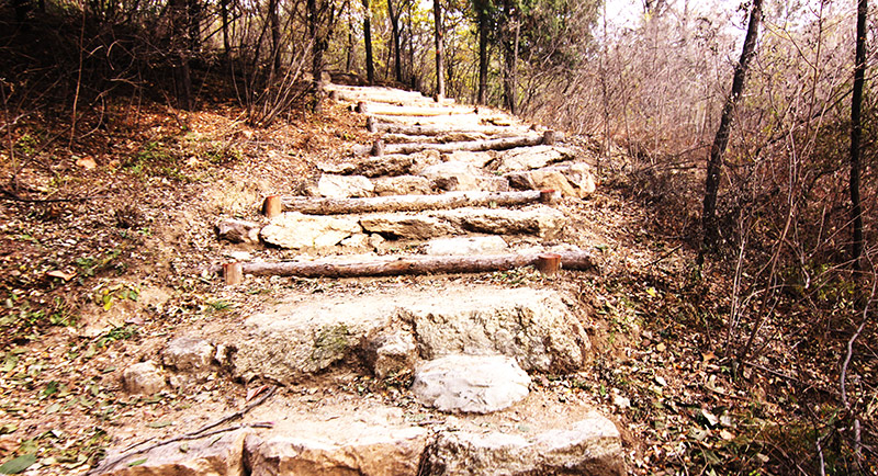 以愛之名，貼地疾行