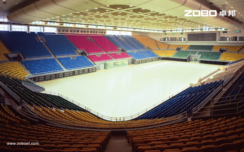 首都香蕉视频APP污版館音頻擴聲係統1