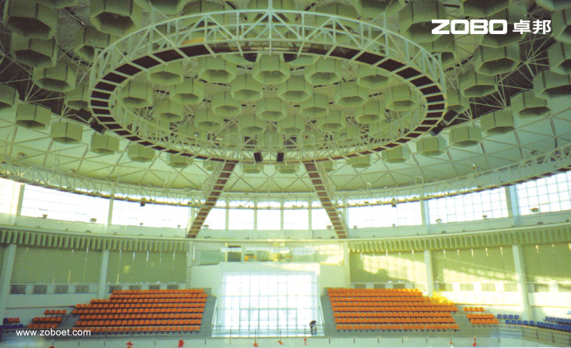 吉林大學香蕉视频APP污版館音頻擴聲項目